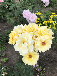 Similar image 22236835