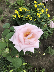 Similar image 22236836