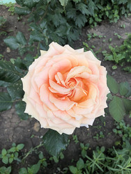 Similar image 22236837