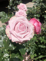 Similar image 22236840