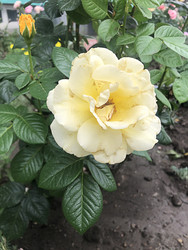 Similar image 22236841