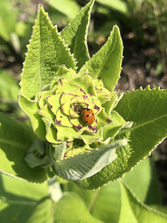 Similar image 22236842