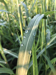 Similar image 22236846