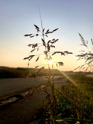 Similar image 22236847