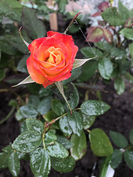 Similar image 22236853