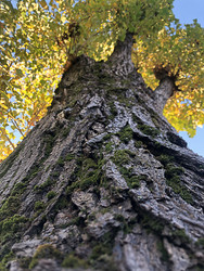 Similar image 22236854