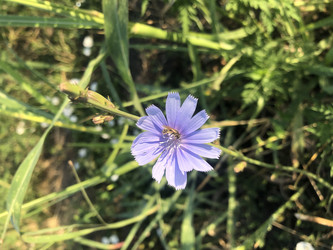 Similar image 22236855