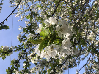 Similar image 22236856