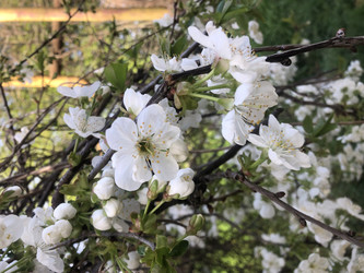 Similar image 22236857