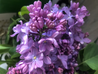 Similar image 22236859