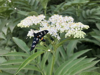 Similar image 22236861