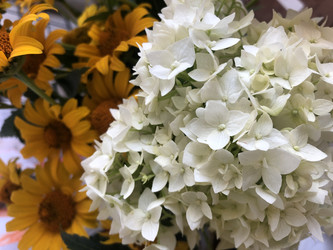 Similar image 22236864