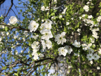 Similar image 22236865