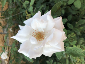 Similar image 22236866