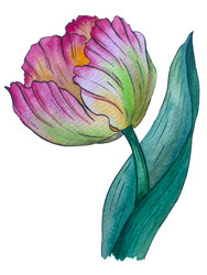 Similar image 22236872