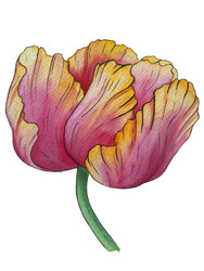 Similar image 22236873