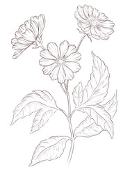 Similar image 22236876