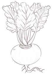 Similar image 22236877