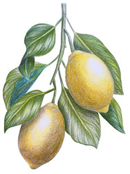 Similar image 22236878