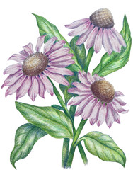 Similar image 22236879