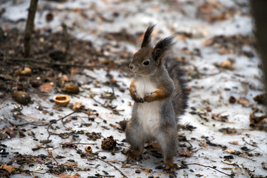 Similar image 22236632