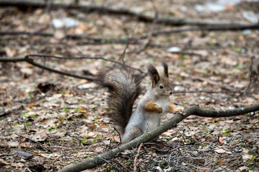 Similar image 22236633