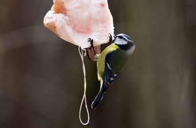 Similar image 22236634