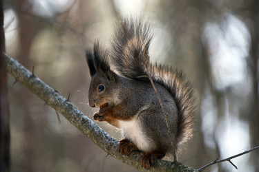 Similar image 22236635