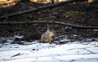 Similar image 22236636