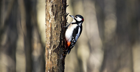 Similar image 22236639