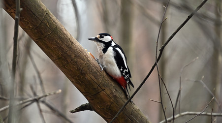 Similar image 22236640