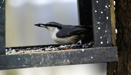 Similar image 22236641