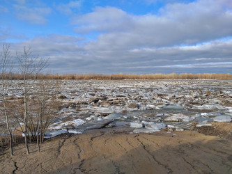 Similar image 22236655