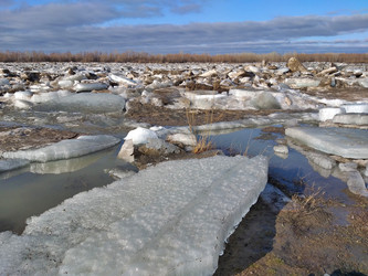 Similar image 22236657