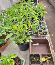 Similar image 22236662