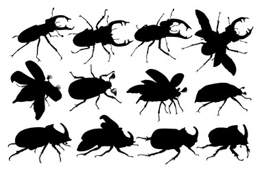 Similar image 22236508