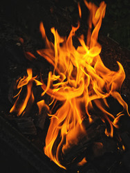 Similar image 22244156