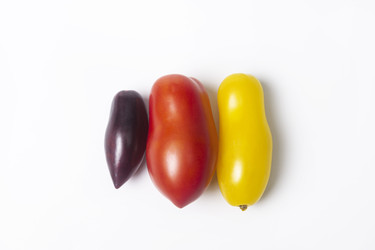 Similar image 22237423