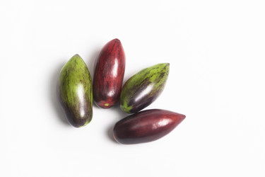 Similar image 22237424