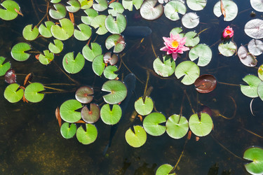 Similar image 22236882