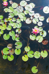 Similar image 22236883