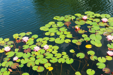 Similar image 22236884