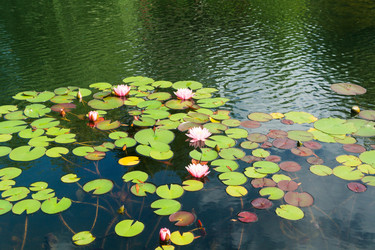 Similar image 22236885