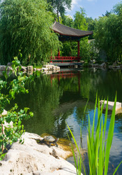 Similar image 22236887