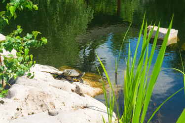 Similar image 22236888