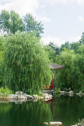 Similar image 22236890