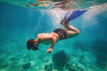 Similar image 22237026