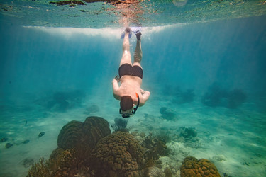 Similar image 22237027