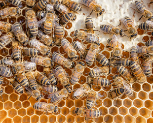 Similar image 22237048