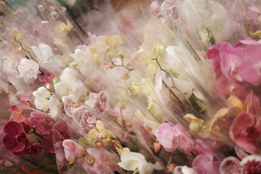 Similar image 22237050